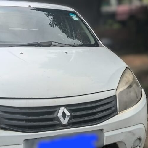 Renault Sandero 2010